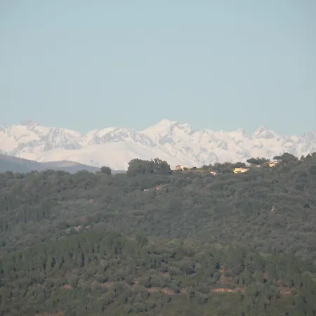 Chambre Luxueuse Au Calme Avec Vue Panoramique Sur La Baie De Cannes Et L Esterel Immense Piscine 3* Fréjus