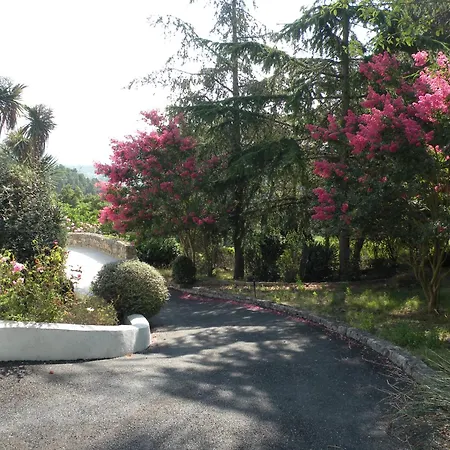 Chambre Luxueuse Au Calme Avec Vue Panoramique Sur La Baie De Cannes Et L Esterel Immense Piscine 3*